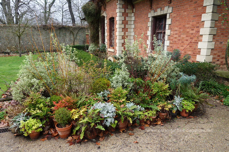 a maison du chef jardinier (côté potager) et des potées vertes