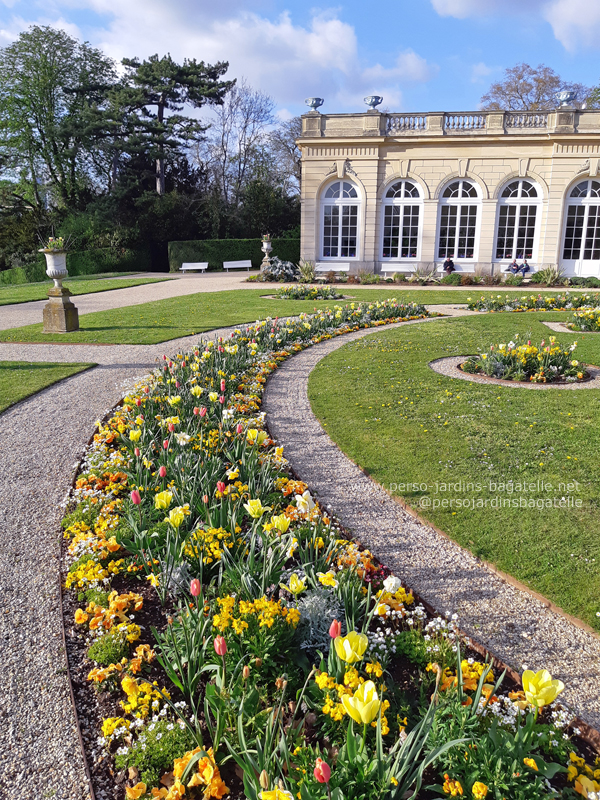 Le parterre français de l'Orangerie en avril 2023 : jaune!