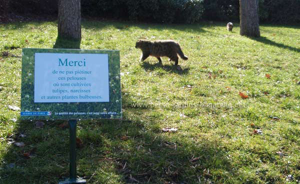 Pancarte "Merci de ne pas piétiner ces pelouses où sont cultivées tulipes, narcisses et autre plantes bulbueuses."