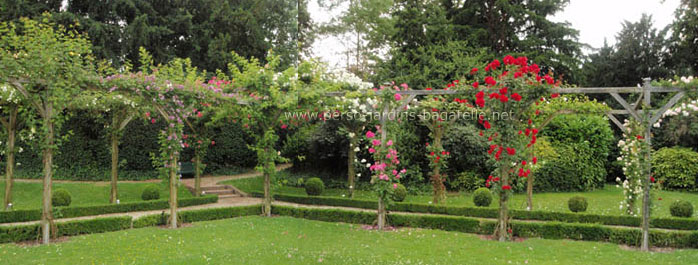 Rose garden