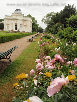 Chateau et pivoines