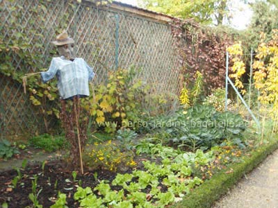 Epouvantail dans le potager