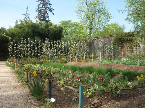 Potager en avril, multicolore