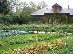 Potager en automne