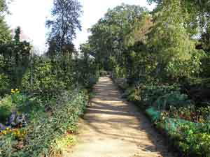 Chemin dans le potager