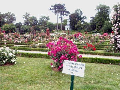 Roseraie et concours de Bagatelle