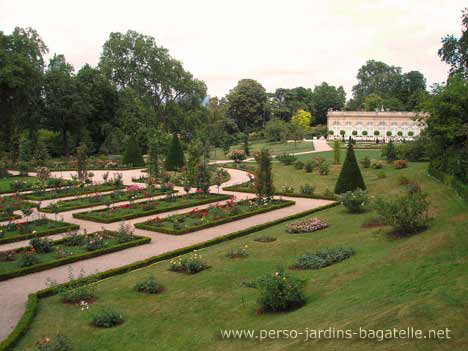 Les rosiers court taills