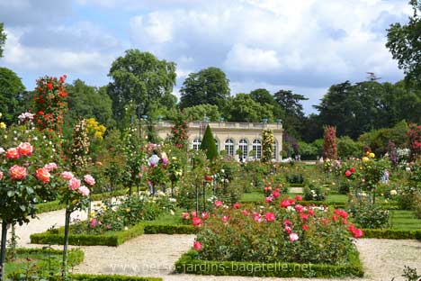 Roseraie en fleurs et Orangerie de Bagatelle