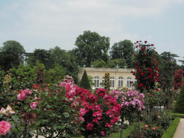 l'Orangerie dans les roses
