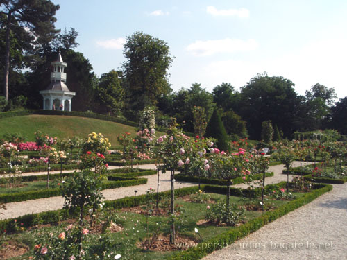 Rose garden