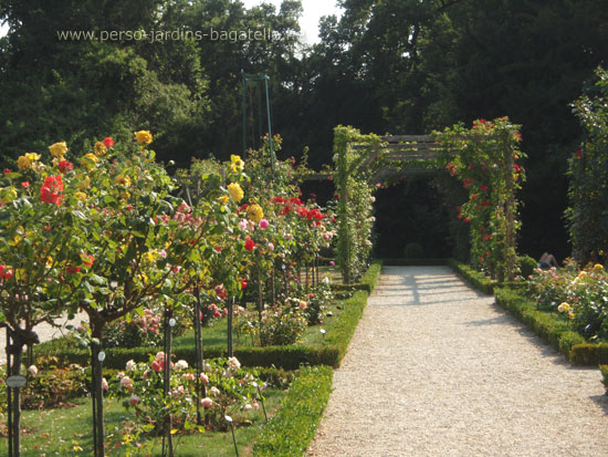 Pergola de la roseraie de Bagatelle le 20 juillet 2013