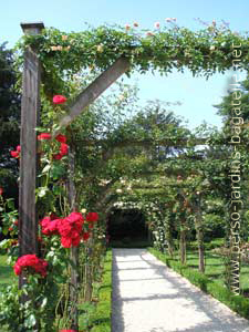 Pergola de la roseraie de Bagatelle