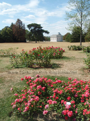 Le château et la roseraie de paysages