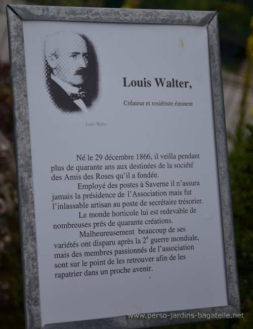 Louis Walter