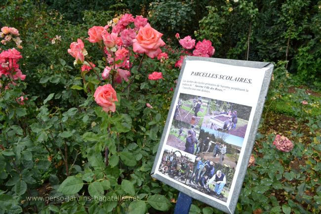 les petits jardiniers