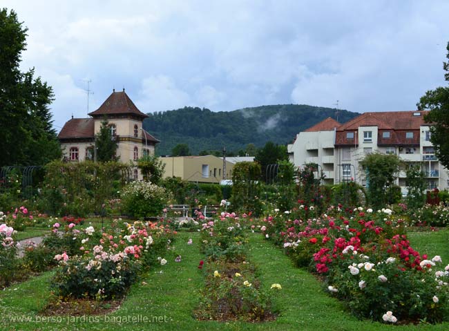 la roseraie en ville