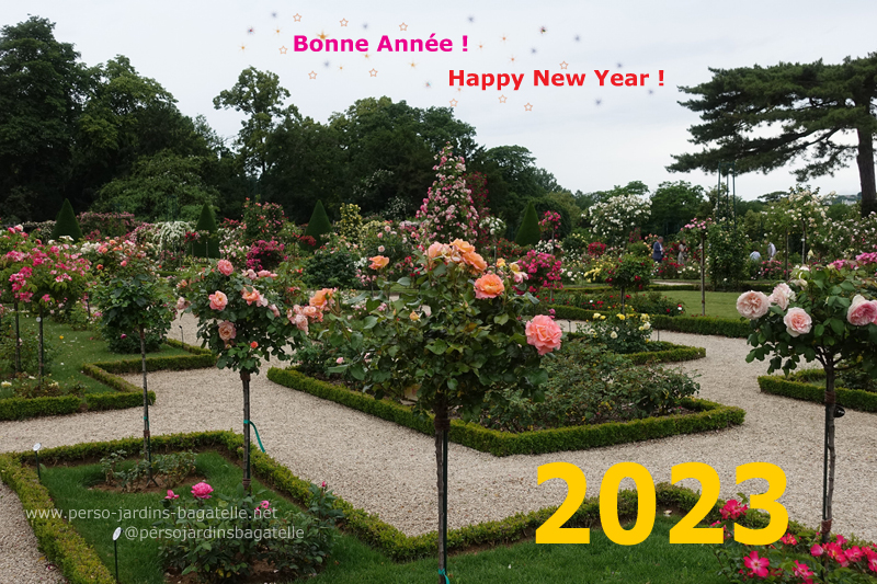 Bonne année 2023, vue de la roseraie en fleurs