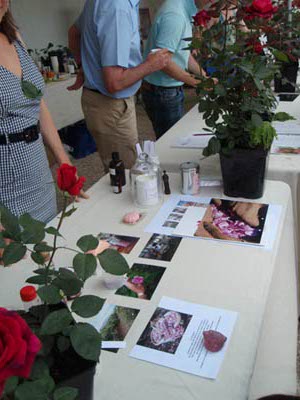 Stands des parfums