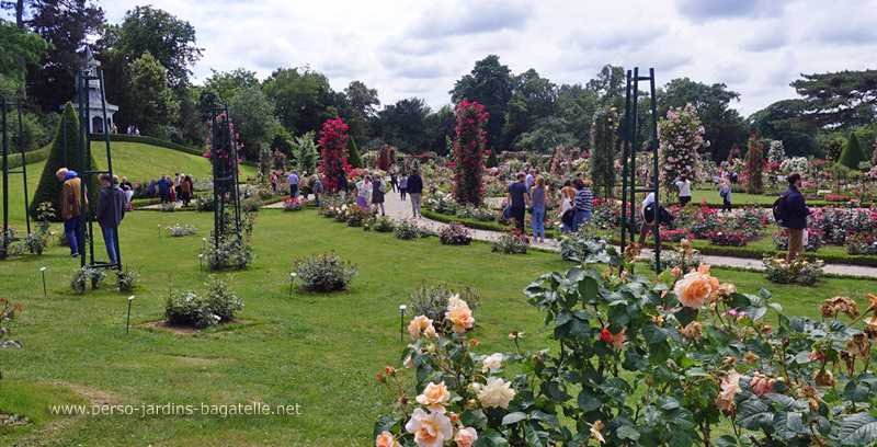 Week-end de la rose 2019, vue générale  2